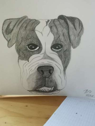 Zeichnungen Eurer Hunde !?-Beitrag-Bild