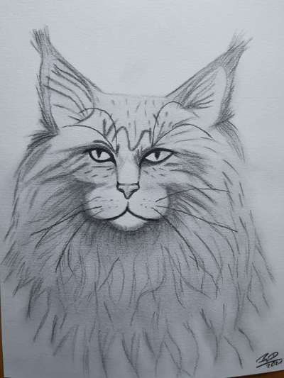 Zeichnungen Eurer Hunde !?-Beitrag-Bild