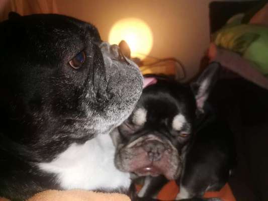 Küsschenbilder-Beitrag-Bild