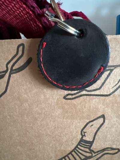 American Bully – Neue Einstufung als gefährlicher Hund in Braunschweig-Beitrag-Bild