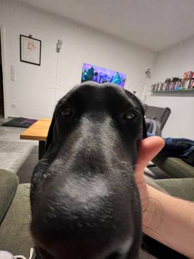 Fotochallange 84-Beitrag-Bild