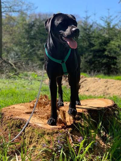 Fotochallenge 78

Es grünt und blüht-Beitrag-Bild