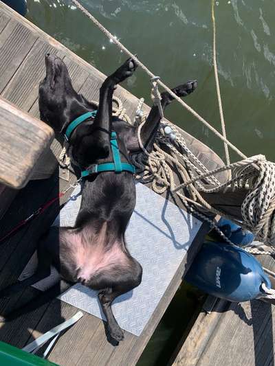 Foto Challange Nr.80-Beitrag-Bild