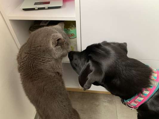 Fotochallenge Nr. 67: Euer Lieblingsbild-Beitrag-Bild