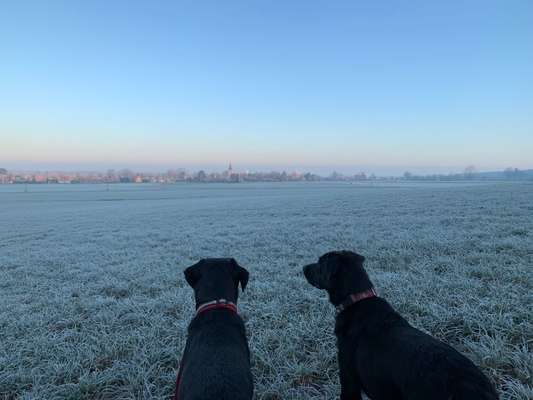 Theos  Fotochallenge Nummer 2-Beitrag-Bild