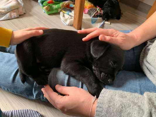 Foto Challenge 82-Beitrag-Bild