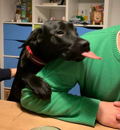 Fotochallenge Nr. 59 - Mein Hund zeigt die Zunge-Beitrag-Bild