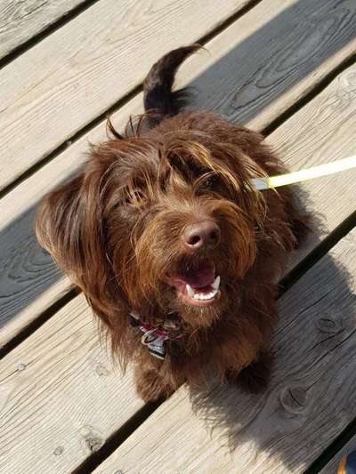 Immer lächeln !-Beitrag-Bild