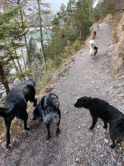 Bergfreunde-Beitrag-Bild