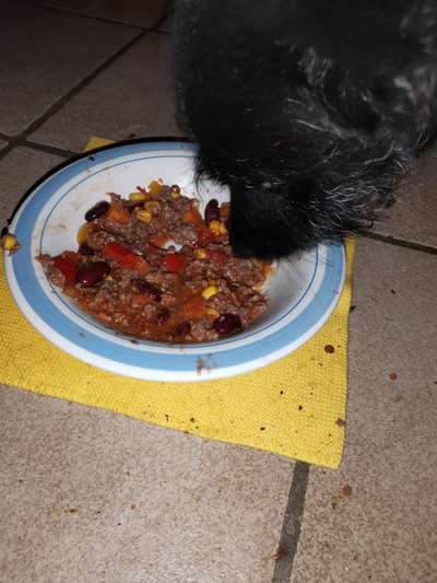 Zeigt her Eure Futternäpfe-Beitrag-Bild