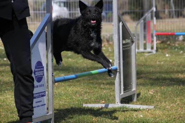 Lustige Grimassen & verrückte Posen-Beitrag-Bild