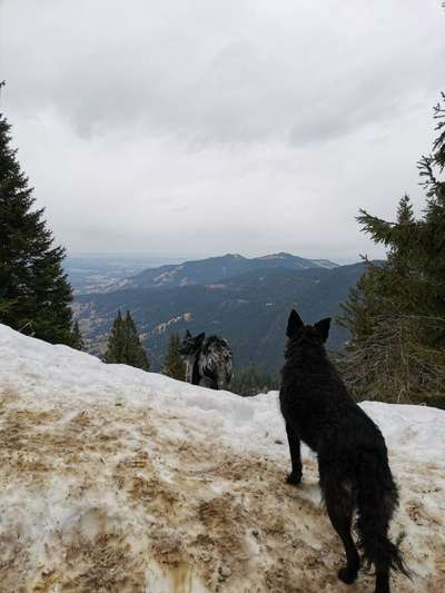 Bergfreunde-Beitrag-Bild