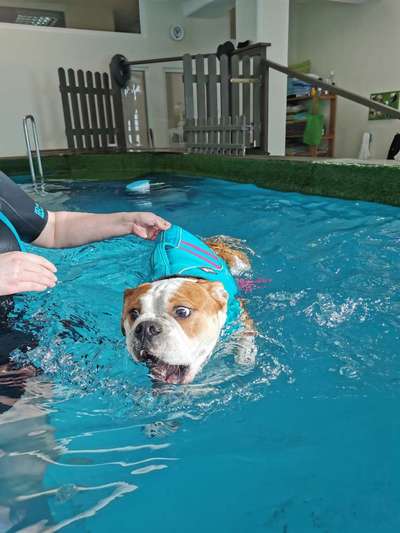 Fotochallange Nr. 6 Die irrsten Blicke-Beitrag-Bild