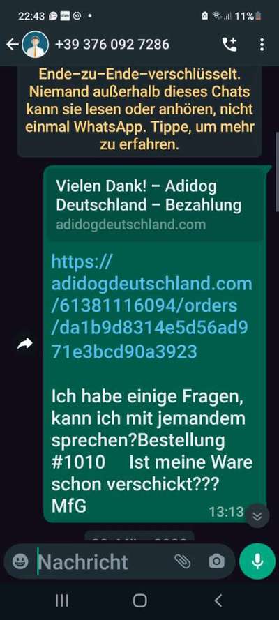 Erfahrung mit Adidog-Beitrag-Bild