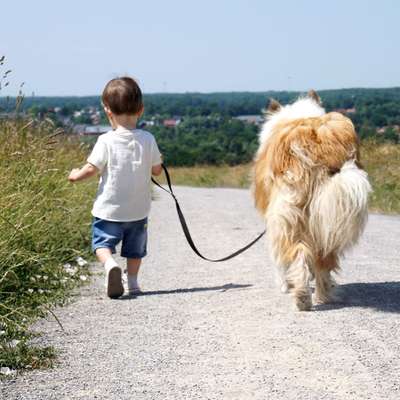 Giftköder-Hundetraining für Kind & Hund-Bild