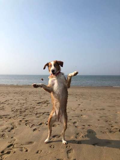 Foto Challenge - BEENDET - bitte aktuelle Challenge nutzen-Beitrag-Bild