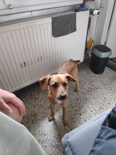 Doppelgänger gesucht !-Beitrag-Bild