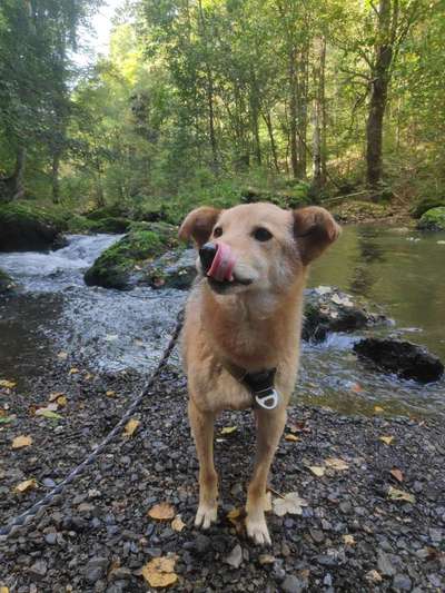 Fotochallenge Nr. 56 - geliebte Senioren-Beitrag-Bild