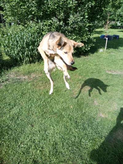 Fotochallenge No. 5-Beitrag-Bild