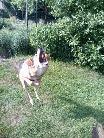 Lieblings Schnappschuss?-Beitrag-Bild