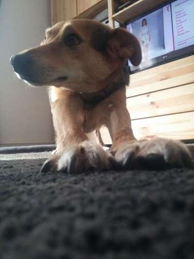 Lieblings Schnappschuss?-Beitrag-Bild