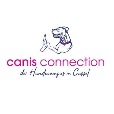 Hundeschulen-canis connection-Bild