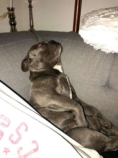 Die unbequemsten und lustigsten Schlafpositionen-Beitrag-Bild