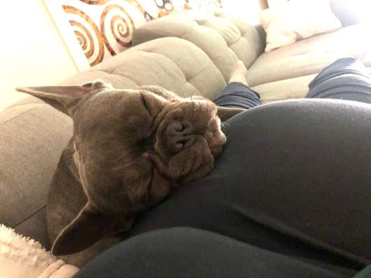 Die unbequemsten und lustigsten Schlafpositionen-Beitrag-Bild