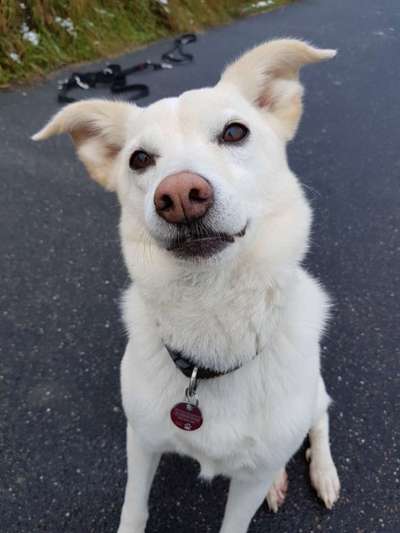 Blick fürs Detail!-Beitrag-Bild