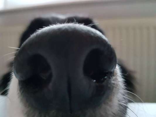 Blick fürs Detail!-Beitrag-Bild