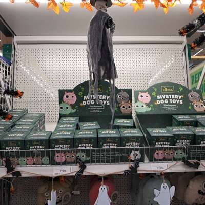 Suche: Hunter Mystery Dog Toys-Beitrag-Bild