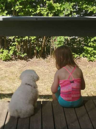 Die Dogorama Kalender Challenge Teil 3/4-Beitrag-Bild