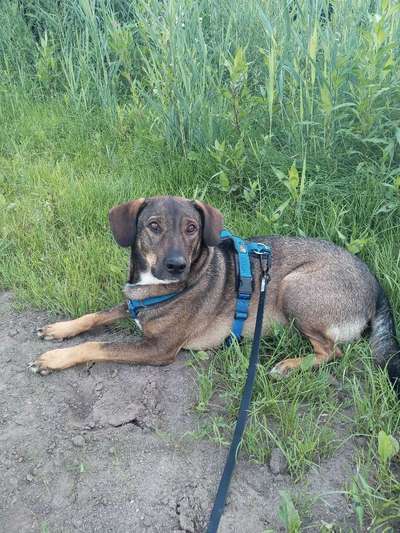 Schönes Geschirr :)-Beitrag-Bild