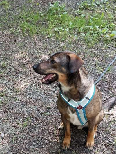 Welches Geschirr ist am besten?-Beitrag-Bild