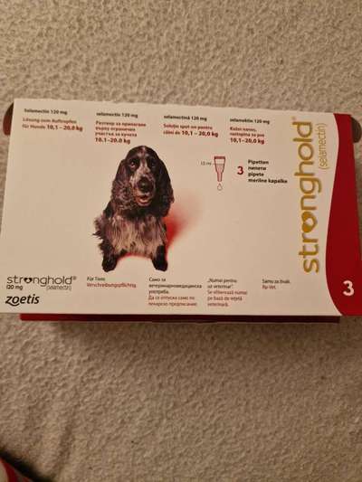 Das komische "Rückwärtsniesen" waren Milben. 
Hätte das jemand vermutet?-Beitrag-Bild