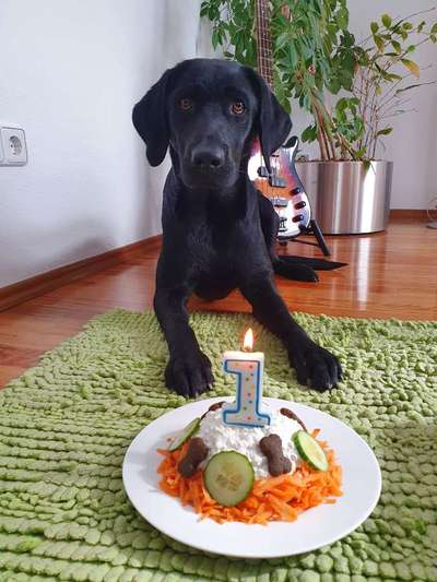 147. Foto Challenge: Bettelblick-Beitrag-Bild