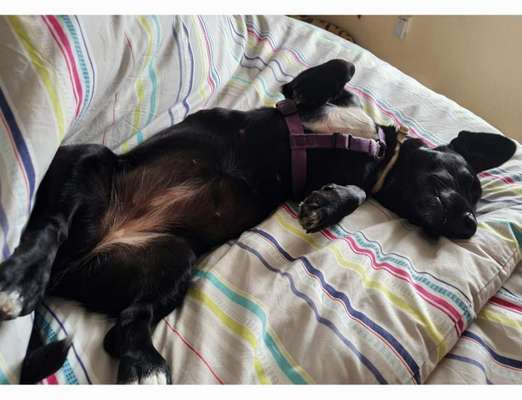 Fotochallenge Nr.65-Beitrag-Bild