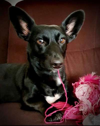 Fotochallenge Nr. 64-Beitrag-Bild