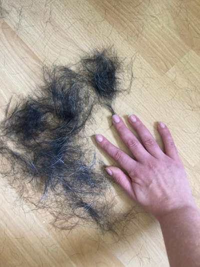 extremer Haarausfall-Beitrag-Bild