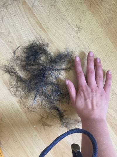 extremer Haarausfall-Beitrag-Bild