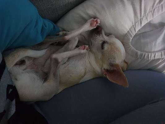 Die unbequemsten und lustigsten Schlafpositionen-Beitrag-Bild