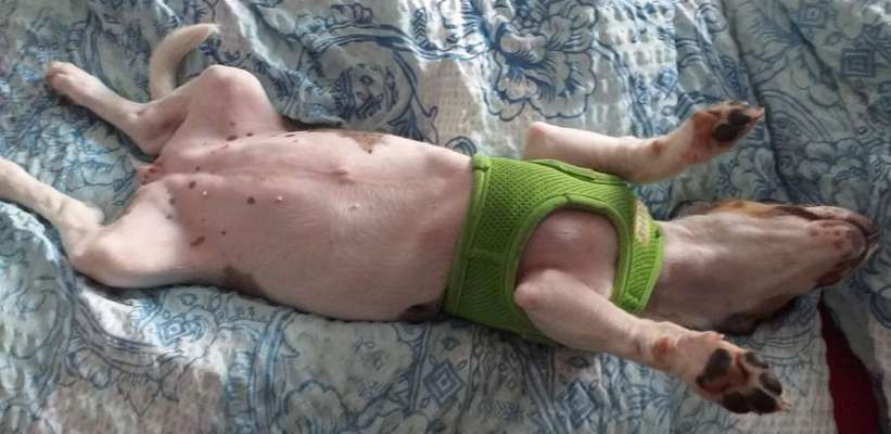 Die unbequemsten und lustigsten Schlafpositionen-Beitrag-Bild