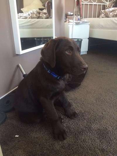 Vorher.... Nachher-Beitrag-Bild