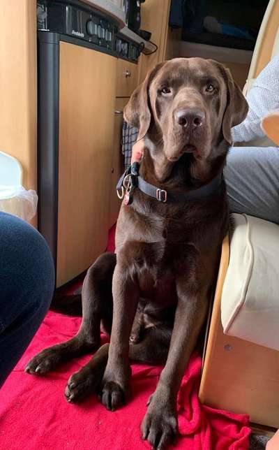 Vorher.... Nachher-Beitrag-Bild