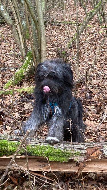 Doppelgänger gesucht !-Beitrag-Bild