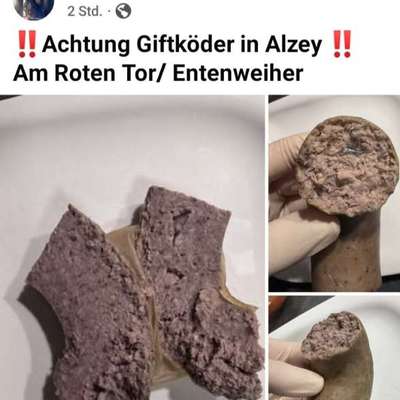 Giftköder-Giftköder, am roten Tor-Bild