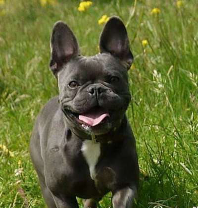 Challenge Nr. 10: "Das schönste Lächeln"-Beitrag-Bild