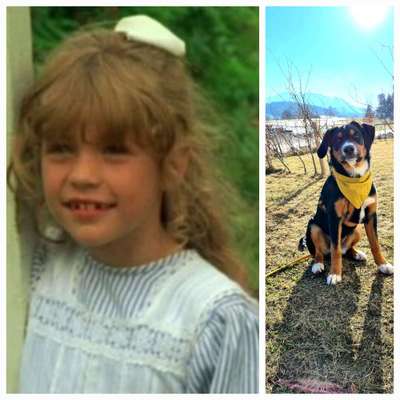 Wie heißt dein Hund?-Beitrag-Bild