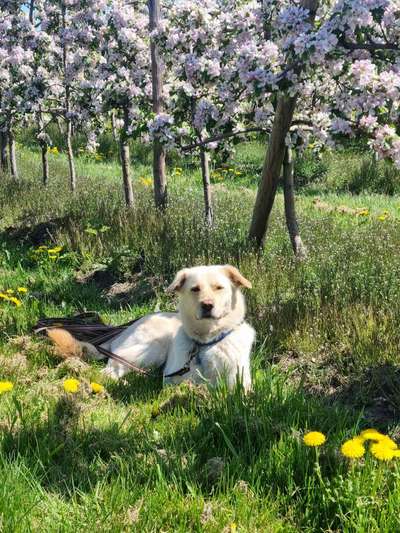 Handy-Foto-Challange Nr.9-Beitrag-Bild