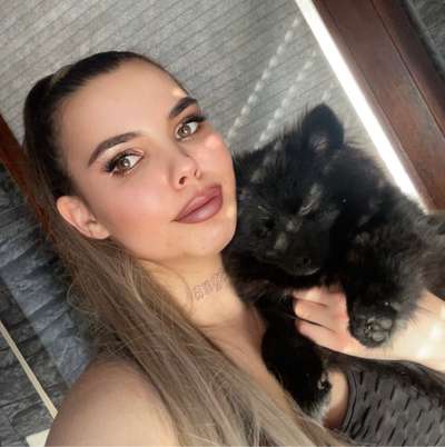 Hundetreffen-Ausgeglichene freundliche Hunde gesucht für Pomeranian Welpen